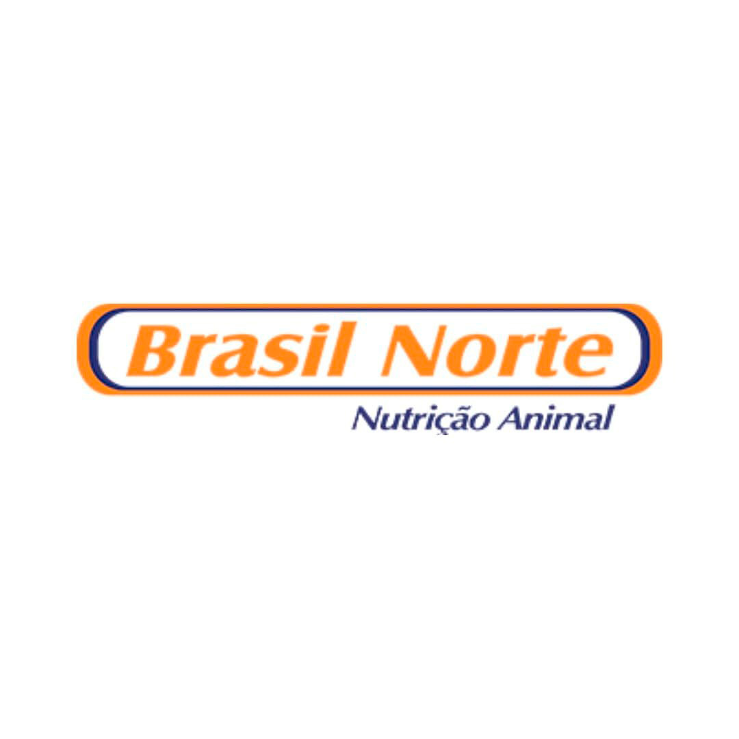 BRASILNORTE